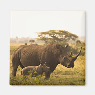 A Rhino with her baby Magnet