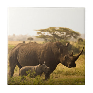 A Rhino with her baby Tile