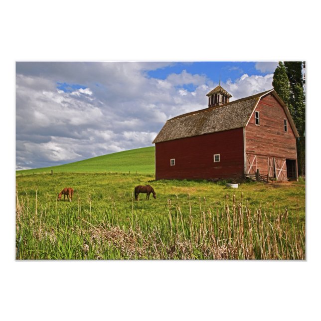 A ride through the farm country of Palouse 3 Photo Print (Front)