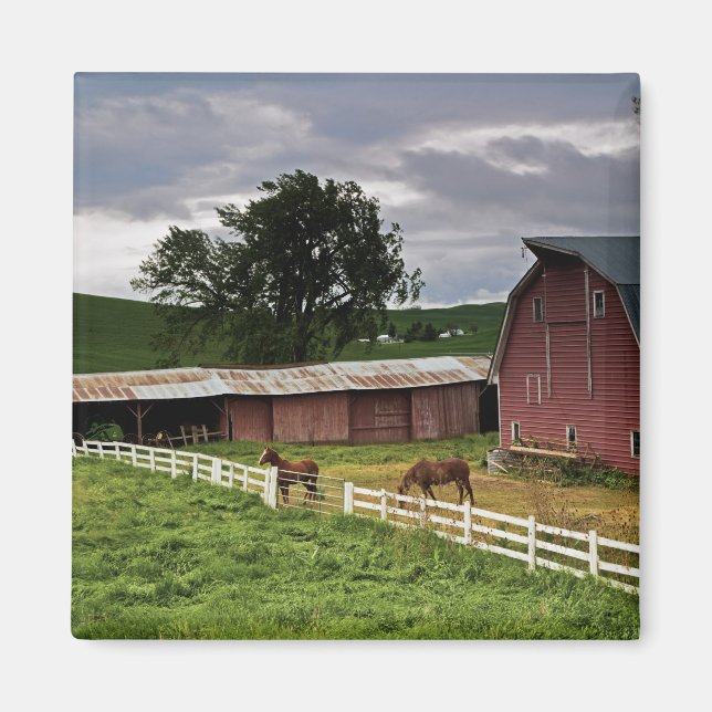A ride through the farm country of Palouse 4 Magnet (Front)