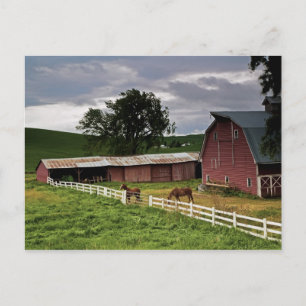 A ride through the farm country of Palouse 4 Postcard