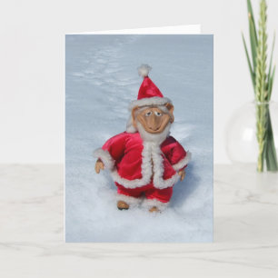 A RIGHT JOLLY OLD ELF. HOLIDAY CARD