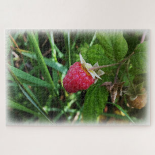 A ripe raspberry jigsaw puzzle