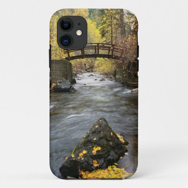A River Running Through American Fork Canyon Case-Mate iPhone Case (Back)