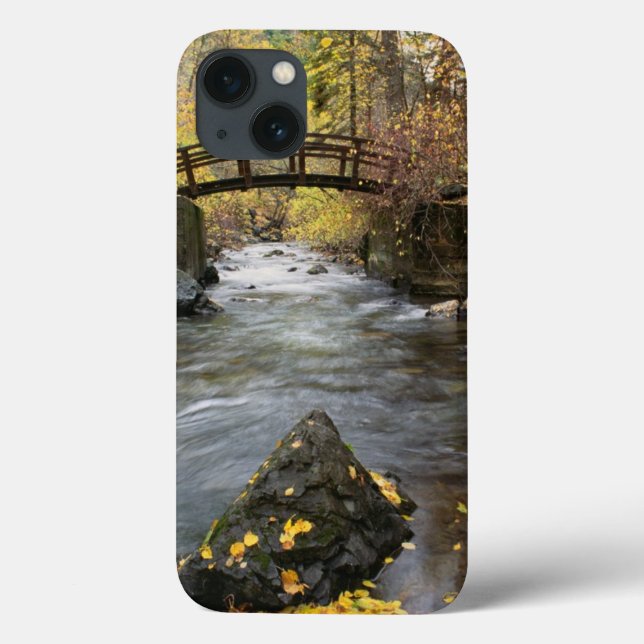 A River Running Through American Fork Canyon Case-Mate iPhone Case (Back)