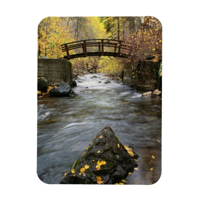 A River Running Through American Fork Canyon Magnet (Vertical)
