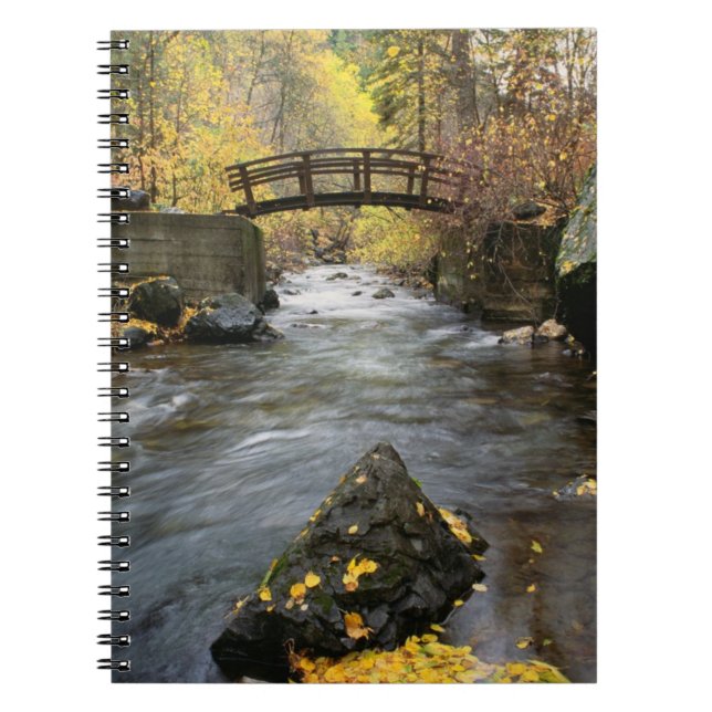 A River Running Through American Fork Canyon Notebook (Front)