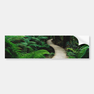 A road in the middle of the wild forest bumper sticker