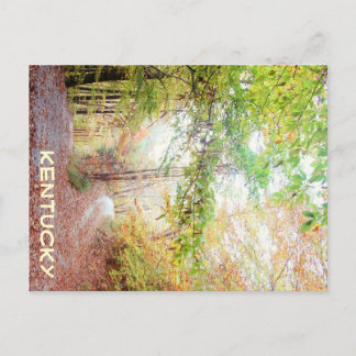 A Road Less Travelled by JerseyFawn Postcard