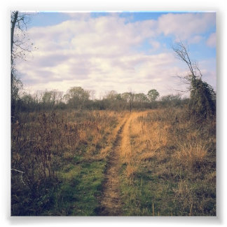 A road less travelled photo print