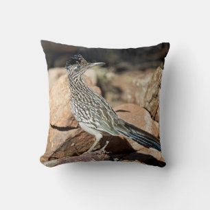 A Road runner pauses momentarily on its search Cushion
