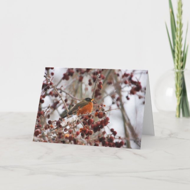 A Robin Greeting The Winter Season Holiday Card (Front)