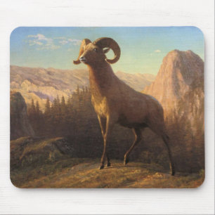 a rocky mountain sheep, Bierstadt Albert Mouse Mat