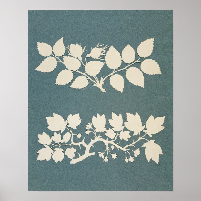 A Rose Branch and Jasmin Branch Poster (Front)