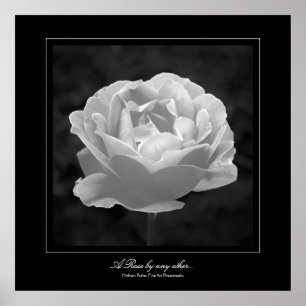 A Rose by any other..., Fine Art gallery-style Poster