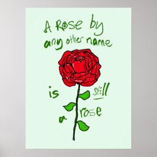 A Rose By Any Other Name is Still a Rose Poster