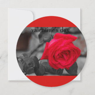 a rose for valentine's day on Invitation Circle