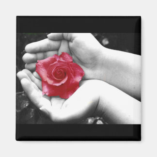 A Rose in the Hand 2 Magnet