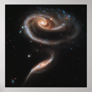 A Rose Made of Galaxies, ARP 273 [Print] Poster