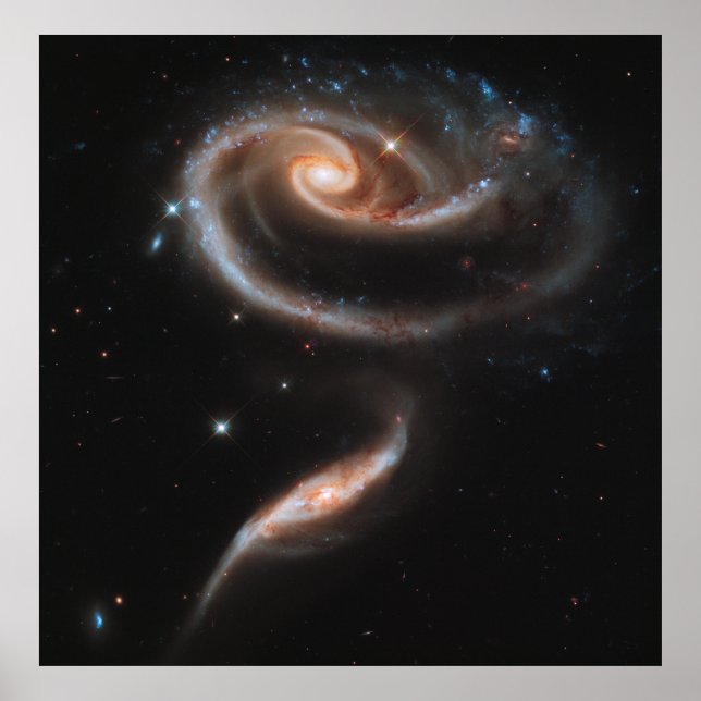 A Rose Made of Galaxies, ARP 273 [Print] Poster (Front)