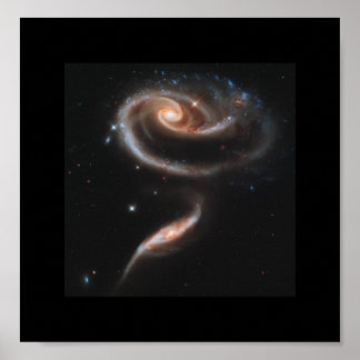 A Rose Made Of Galaxies - Hubble Space Telescope Poster