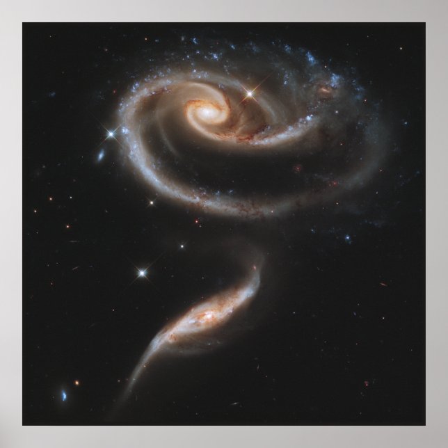 A Rose Made of Galaxies Poster (Front)
