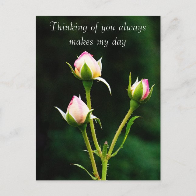A rosebud flower postcard (Front)