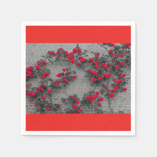 a roses climb on a brick wa Cocktail Paper Napkins