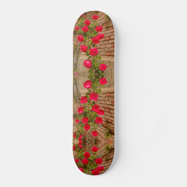a roses climb on a brick wall on skateboard (Front)