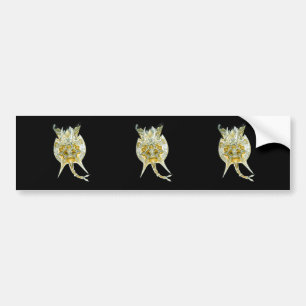 A Rotifer Bumper Sticker