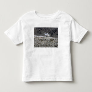 A round from an AT-4 small rocket launcher Toddler T-Shirt