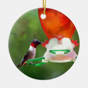 A Ruby Throated Hummingbird Ceramic Tree Decoration