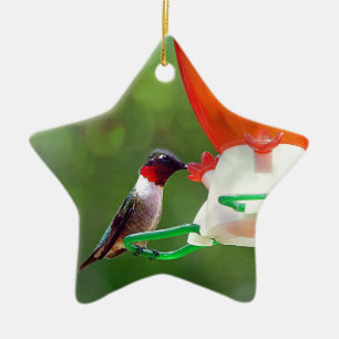 A Ruby Throated Hummingbird Ceramic Tree Decoration