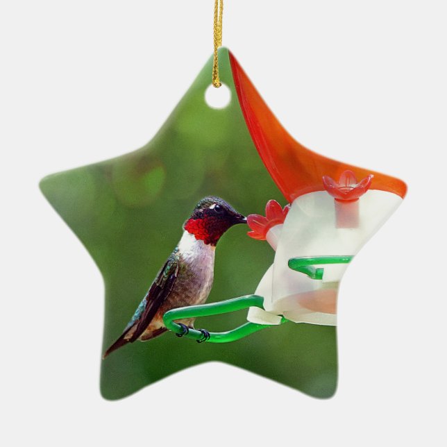 A Ruby Throated Hummingbird Ceramic Tree Decoration (Front)