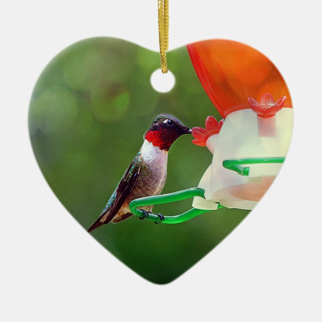 A Ruby Throated Hummingbird Ceramic Tree Decoration (Front)