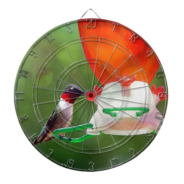 A Ruby Throated Hummingbird Dartboard (Front)