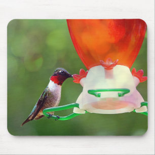 A Ruby Throated Hummingbird Mouse Mat