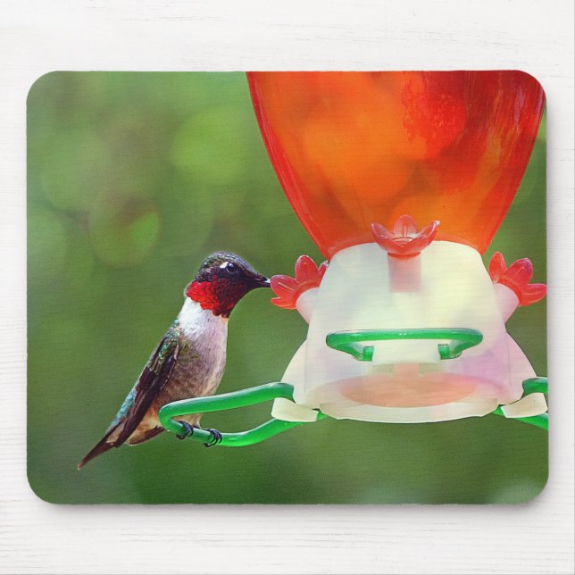 A Ruby Throated Hummingbird Mouse Mat (Front)