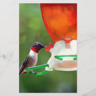 A Ruby Throated Hummingbird Stationery