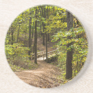 A Runge Pathway Coaster