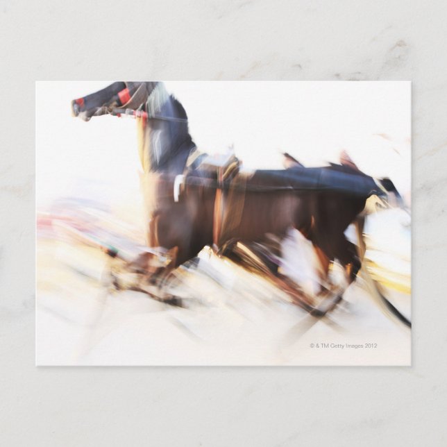 A running horse at a high speed is competing in postcard (Front)