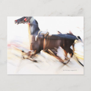 A running horse at a high speed is competing in postcard
