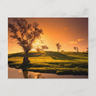 A rural Adelaide Hills landscape Postcard