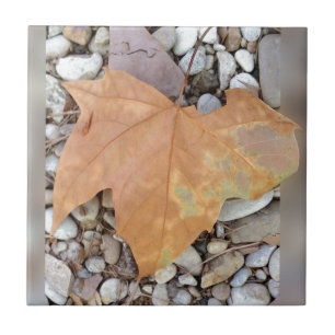 a rusty leaf on pebbles tile