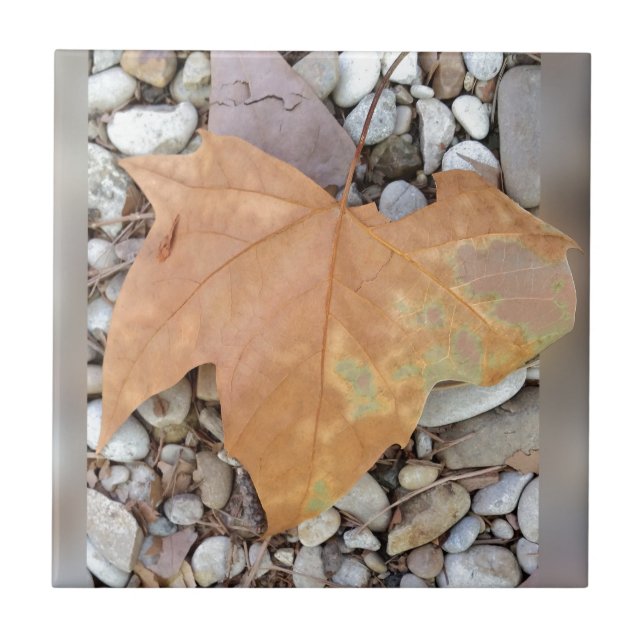 a rusty leaf on pebbles tile (Front)
