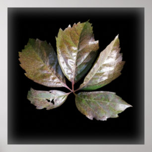 a rusty leaf poster