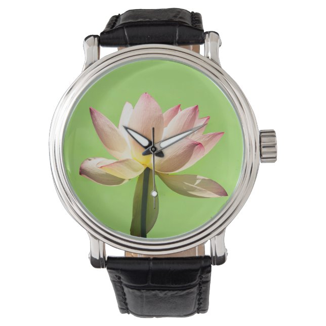 A sacred lotus.  Laxmi lotus Watch (Front)