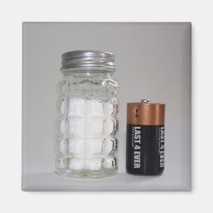 A Salt and Battery Magnet