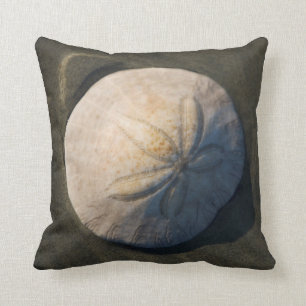 A Sand Dollar On The Beach Cushion