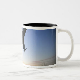 A scale model of an F-16 C Fighting Falcon Two-Tone Coffee Mug